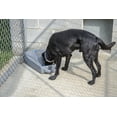 thumbnail image 3 of Dakota 283 Dash 3.5 Dog Bowl Watering System - Orange, 3 of 4