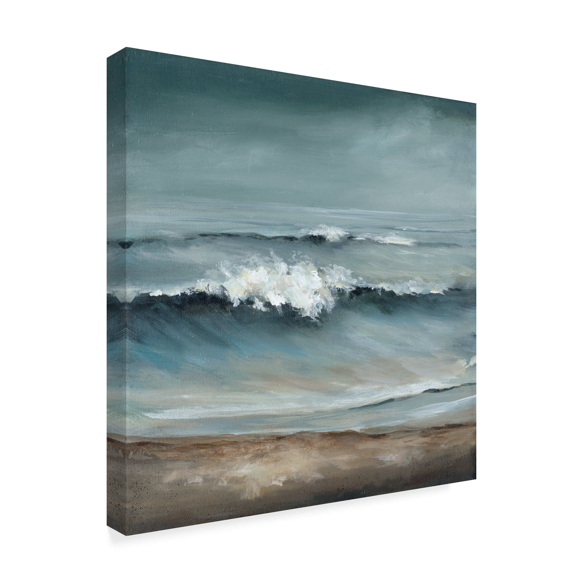 Trademark Fine Art 'Longing Coast' Canvas Art by Christina Long