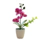 thumbnail image 1 of Bearachild Nueva maceta de simulación para interior o exterior, elegante decoración de flores artificiales de bajo mantenimiento Flores artificiales MI, 1 of 6