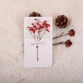 thumbnail image 2 of SIfdSeng Get it Fast Christmas Charm Dried Flower Greeting Card Festive Design Natural Holiday Sentiments Idea, 2 of 5