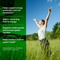thumbnail image 4 of ORZAX Vitamin B Complex, Vegan, B Vitamins with Choline & Inositol - 120 Vegetable Capsules, 4 of 9
