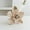 B/Pink, variant on Dvkptbk Christmas Flowers Christmas Glitter Magnolia with Stems Christmas Tree Decorations Flower Wreath Christmas New Year Decoration Holiday Gift Valentines Day Gifts