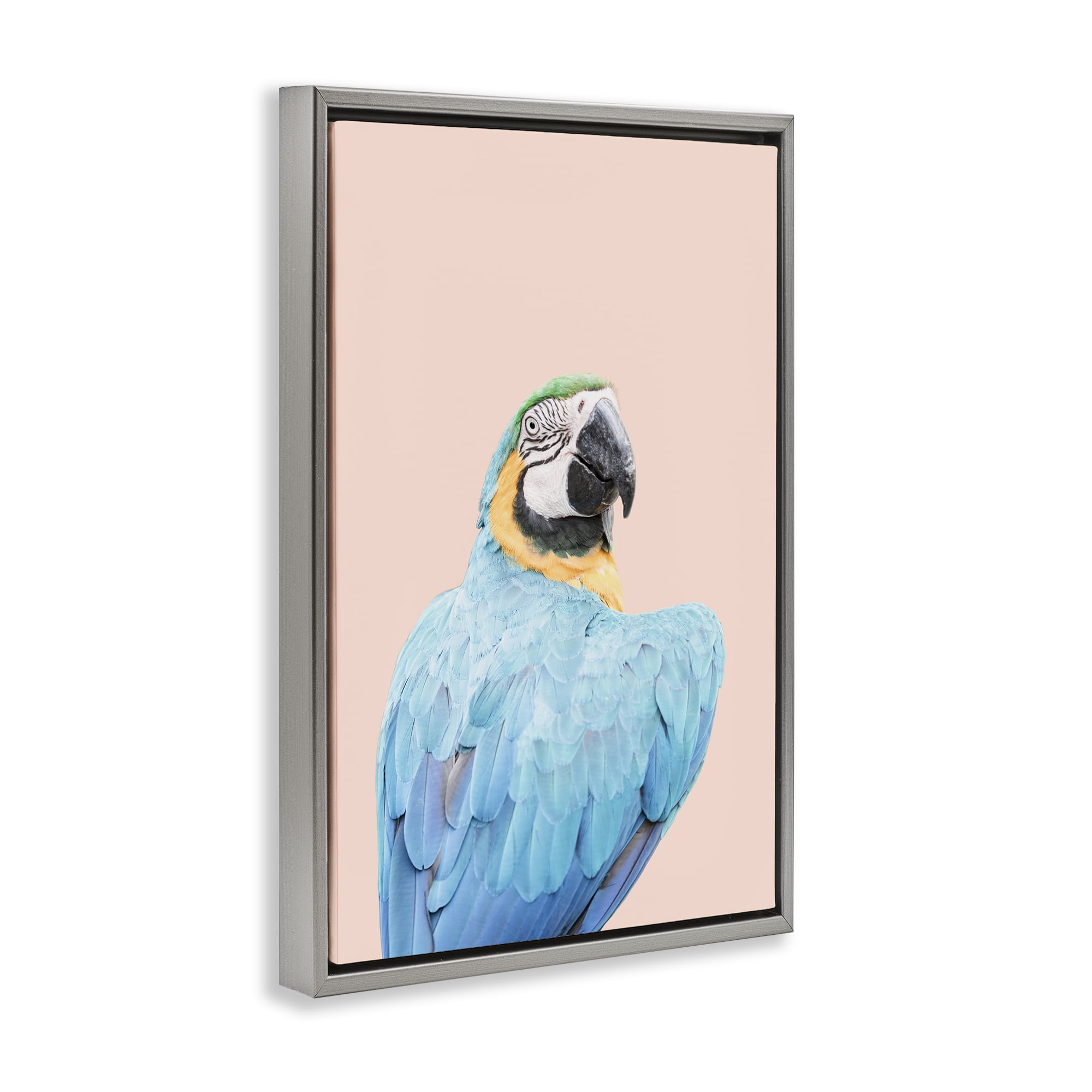 Stupell Industries Blue Ara Macaw Animals Painting Gray Floater Framed Canvas Art Print Wall Art, 21 x 31