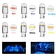 thumbnail image 3 of 10/5/2Pzs Focos Led T10 Lupa Canbus Pellizco Sin Señal Error 550lm, 3 of 4