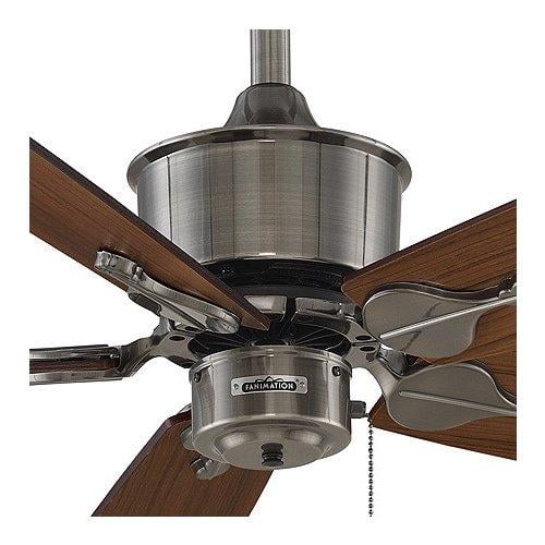 Fanimation Ceiling Fan Parts Shelly Lighting