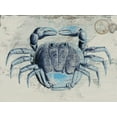 thumbnail image 2 of Lewis, Sheldon 14x12 White Modern Wood Framed Museum Art Print Titled - Mysterious Crustacean 2, 2 of 4