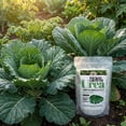 thumbnail image 2 of Old Cobblers Farm™ Wicked Growth High-Efficiency 46-0-0 Fertilizer - Urea - Fast-Acting Nitrogen Source for Lush Growth in Gardens & Farms -Soluble (5 lbs | 10 lbs | 15 lbs | 20 lbs) (20lbs), 2 of 11