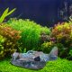 thumbnail image 1 of Fighter Fish Tank Decoration Resin Crafts Wreckage Hide Cave For Fish Shrimp Aquarium Landscaping Ornaments He Qiyong unisex, 1 of 2