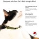 thumbnail image 4 of Collar para gatos Nuvuq Comfortable Breakaway Safety Hebilla Verde, 4 of 7
