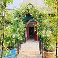 thumbnail image 4 of Holaki Metal Garden Arch with Adjustable Width Climbing Plants Support Rose Arch Outdoor Black, 4 of 12