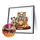 thumbnail image 4 of 5D DIY Taladro en Forma Especial Parcial Cgtredaw Diamante Pintura Kit HB365, 4 of 9