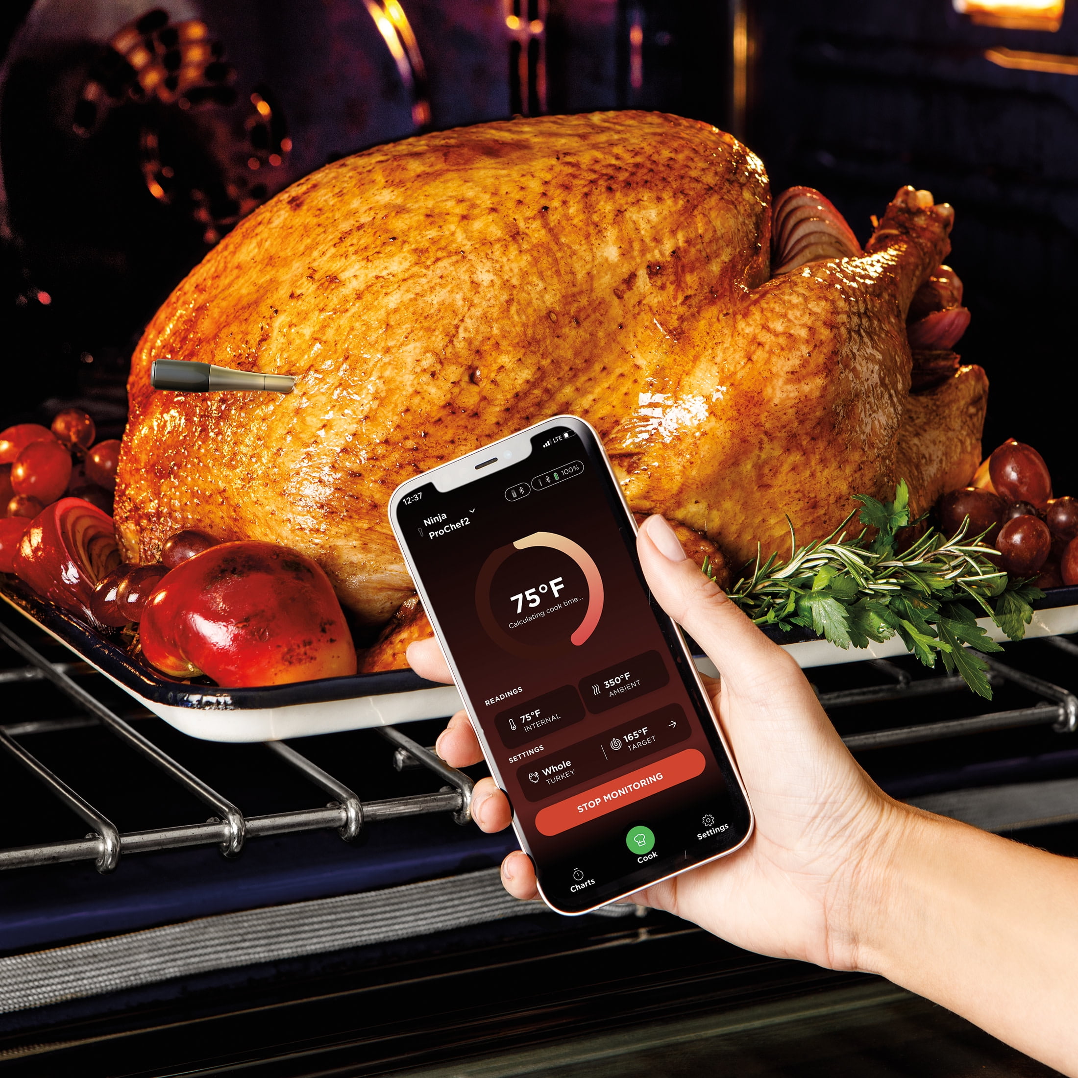 Ninja ProChef Wireless Meat Thermometer Indoor & Outdoor, extended battery life, bluetooth, waterproof, WP100