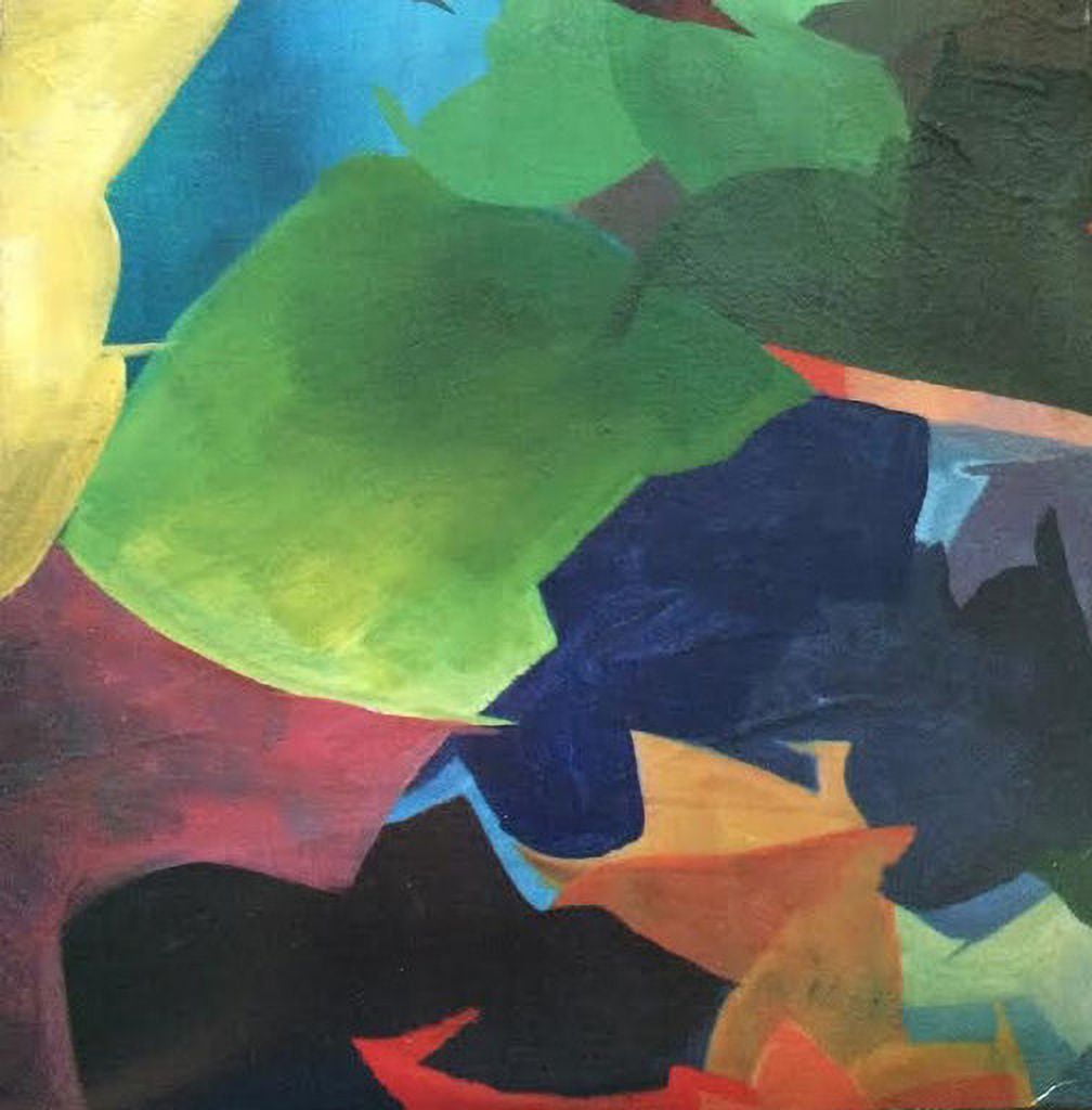 The Olivia Tremor Control - Black Foliage: Animation Music