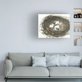 thumbnail image 3 of Samuel Dixon 'Nesting Eggs I' Canvas Art, 3 of 3
