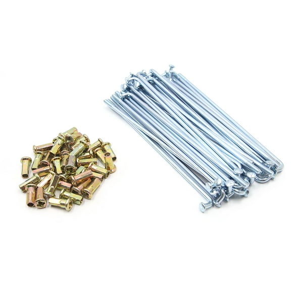 REGALWOVEN  36pcs Chrome Steel 4mm Thread Dia 158mm Length Motorcycle Wheel Spokes w Nipples
