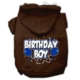 thumbnail image 4 of Pet, Dog  Cat Hoodie Screen Printed, "Birthday Boy", 4 of 7