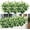 Milk Green, variant on 8 Bundles Outdoor Artificial Boxwood UV Resistant Fake Stems Plants, Faux Plastic Greenery for Indoor Outside Hanging Plants Garden Porch Window Box Home Wedding Farmhouse Décor