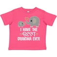 thumbnail image 3 of Inktastic Grandchild Best Grandma Ever Boys or Girls Toddler T-Shirt, 3 of 5