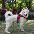 thumbnail image 3 of Pet Dog Cat Adjustable Safe Harness, Leash Camouflage Leopard Safe Vest Harness for Walking, 3 of 11