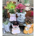 thumbnail image 2 of Animals (owl Mama) Planters - 5.5" H x 5" W x 5" D Inch Plant Pots for Succulents Flowers Herbs Houseplants - Indoor/Outdoor Live Plants Stand Garden Home Office Kitchen Decor, 2 of 4