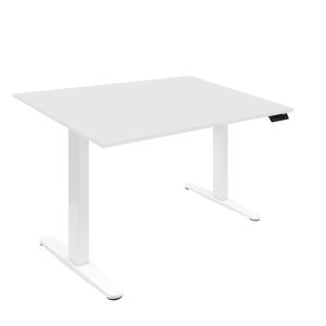 Dual Motor Electric Standing Desk with 48 Tabletop