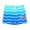 Light Blue, variant on Kids Swim Trunks Hawaiian Toddler Swim Shorts Quick Dry Kids Swimsuits Boys Bathing Suits Size 7-9 Years