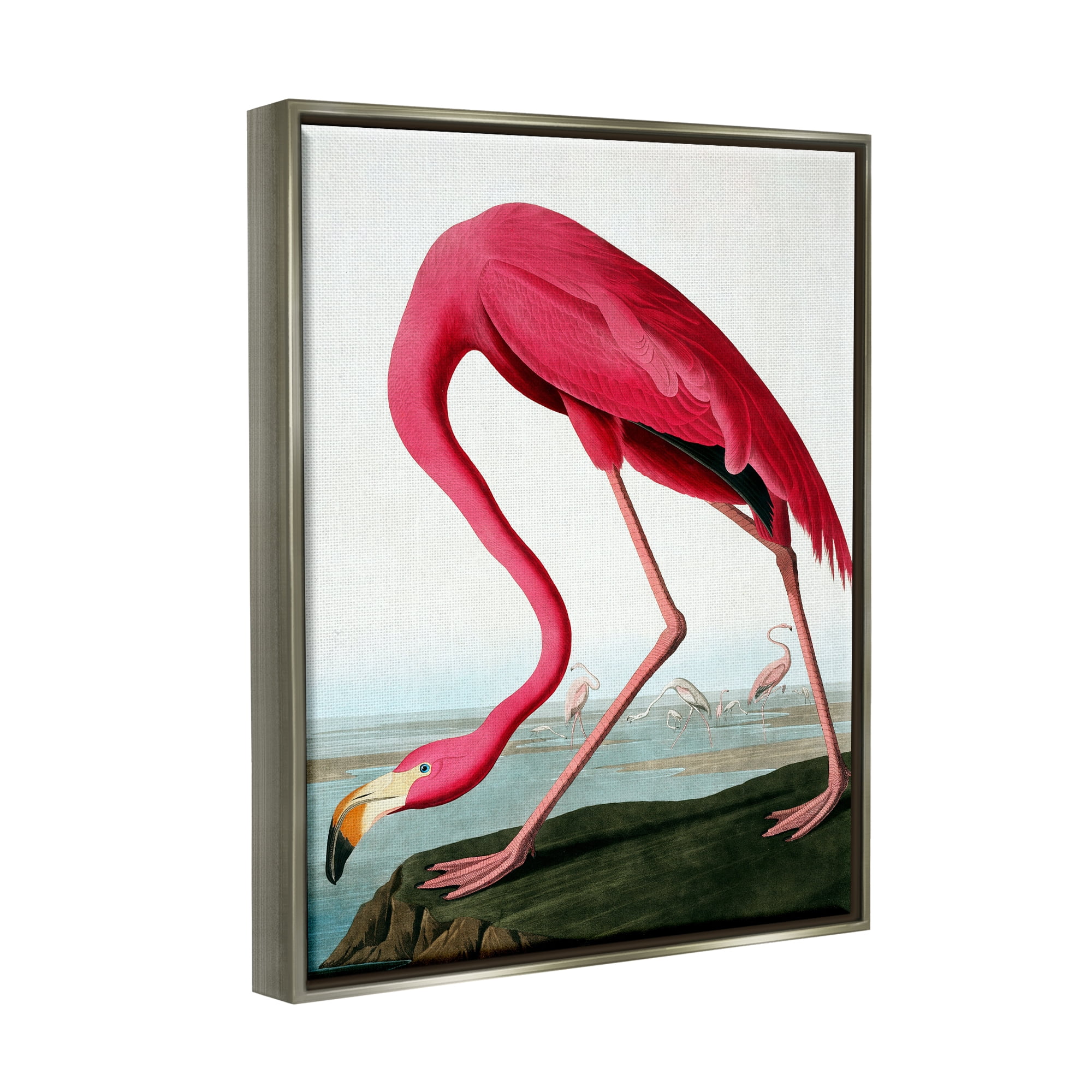 Stupell Industries Flamingo Stepping Near Pond Animals & Insects Painting Gray Floater Framed Art Print Wall Art, 25 x 31
