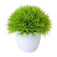 thumbnail image 1 of BKER Bonsai Desktop Decorative Arrangement With Low For Home (Green), 1 of 5