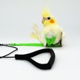 thumbnail image 1 of 2 Pieces of Parrot Flight Rope Strap Type Flying Rope Traction Rope Bird Walking Rope Out Training Rope Bird Supplies Pet Supplies (fluorescent green + pink), 1 of 5