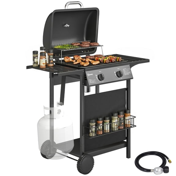 2 Burner Propane Gas Grill, 18000 BTU BBQ Grill with Wheels, Black