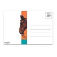 thumbnail image 2 of Horse Postcards - 4 x 6 Western Postcards - 40 Equestian Postcards - 17031, 2 of 4