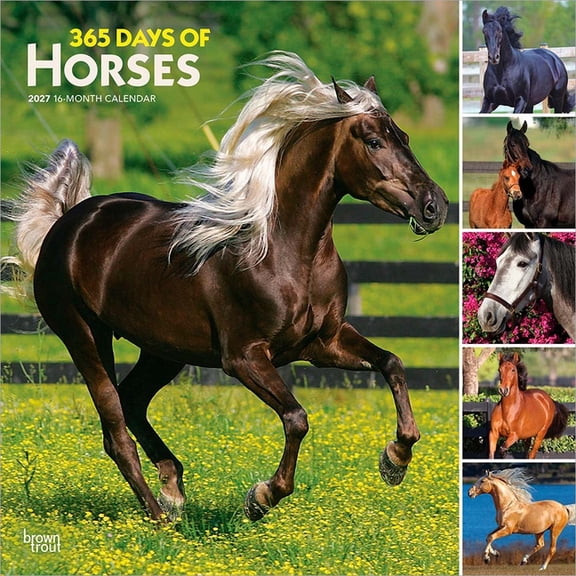 365 Days of Horses | 2027 12x24" (Hanging) Wall Calendar | Plastic-Free