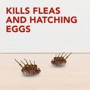 Raid Flea Flogger Plus Insect Killer, Kills Fleas and Hatching Eggs - 3 Foggers
