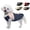 Pink&Blue, variant on MAMORE Dog Coat,Dog Jacket for Winter & Cold Weather Ultra Thick Plush Lining with Storage Pocket(Red&Blue,XL)