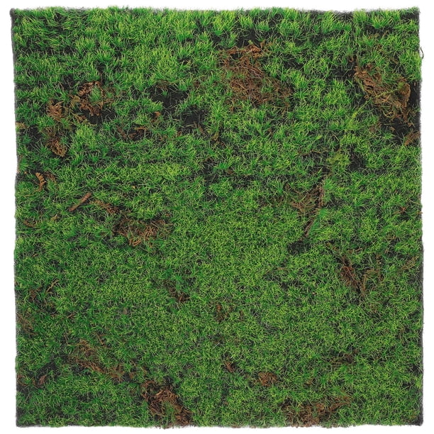 Césped de musgo artificial, simulación de musgo, hierba, plantas verdes realistas, decoración de micro paisajes, césped de musgo