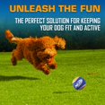 thumbnail image 3 of Lanzador de pelotas de tenis Pet Toy Nerf Dog de 15 m de alcance con 3 pelotas, 3 of 7