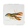 thumbnail image 1 of Betsy Drake CT081 Live Lobster Coaster - Set of 4, 1 of 1