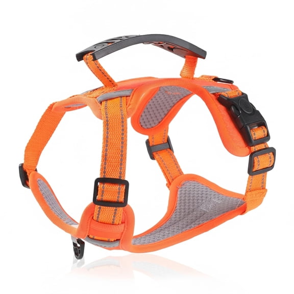 Vest Dog Harness and Leash Set, Reflective Polyester Walking Gear for Small to Medium Dogs