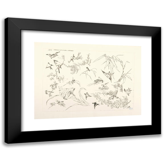 Félix Bracquemond 14x11 Black Modern Framed Museum Art Print Titled - Japanese Birds and Flowers. (1866 - 1878)