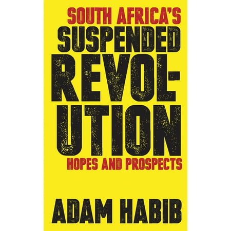 South Africa S Suspended Revolution Hopes And Prospects