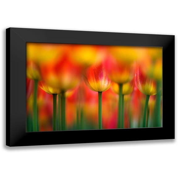 Suzuki, Takashi 18x13 Black Modern Framed Museum Art Print Titled - Side by side