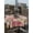 Light Beige Light Pink Cherry Pink, variant on Outdoor Tablecloth with Umbrella Hole and Zipper, Valentine's Day Rectangle Table Cloth 60x120 Inch Waterproof Tablecloth, Pink Roses Flowers Stripes Country Picnic Table Cover for Patio Camping