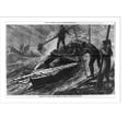 thumbnail image 2 of Historic Framed Print, Maryland - American Industries - Gathering oysters in the great beds in Chesapeake Bay, near Annapolis, 17-7/8" x 21-7/8", 2 of 9
