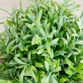 thumbnail image 6 of 6in. Artificial Grass Plant in Black Pot - Set of 2, 6 of 9