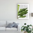 thumbnail image 3 of Trademark Fine Art 'Banana Leaves 1, Green On White' Canvas Art by Fab Funky, 3 of 3