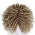 thumbnail image 4 of Peluca con rastas GNIMEGIL Ombre, rubia y rizada para hombre, Halloween, 4 of 6