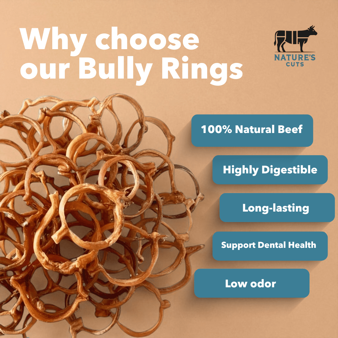 4" Bully Rings Display Box (25 ct) with Individual UPC Tags - 100% All Natural Beef Bully Sticks