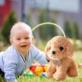 thumbnail image 1 of Jouet en Peluche Chien Teddy Simulation Poupée Chiot Cadeau pour Enfants, 1 of 4