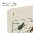 thumbnail image 5 of Insects, E, Vintage Bookplate, Adolphe Millot Artwork Birch Wood Wall Sign (6x9 Rustic Home Decor, Ready to Hang Art), 5 of 5