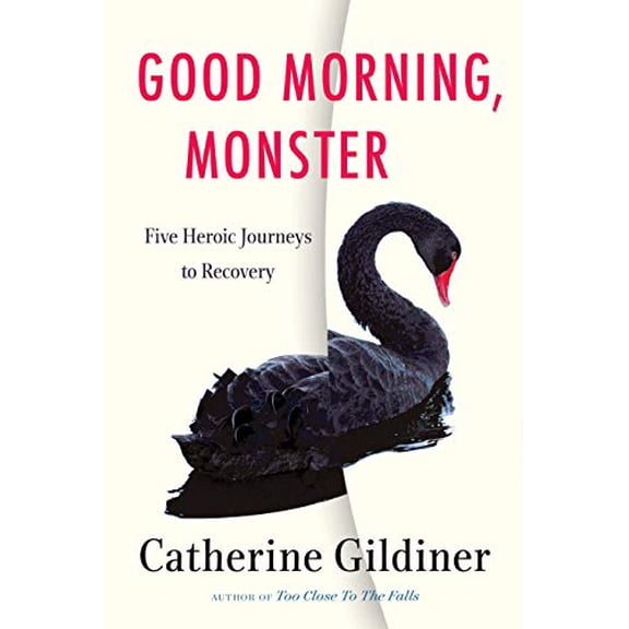 Pre-Owned Good Morning, Monster: Five Heroic Journeys to Recovery Paperback